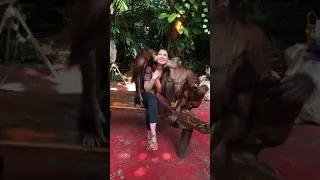 OMG......Funny Monkey flirting with a pretty girl   Safari world   Bangkok