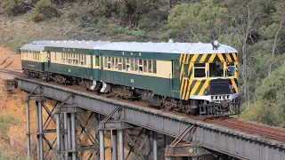 The Timeless Flinders Ranges & Barwell's Bulls - Pichi Richi Railway Sundowner Explorer