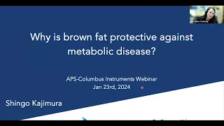 Why Is Brown Fat Protective Against Metabolic Disease