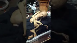 alien will found in USA 👽