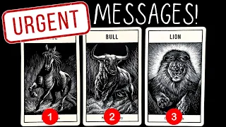 URGENT MESSAGES From Your Spirit Guides!🔥🌱⭐️ pick a card reading 🃏tarot card reading