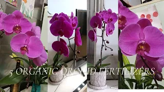 5 Organic Fertilizers for Orchid Plant Care | How to Make Organic Fertilizer at Home in Hindi