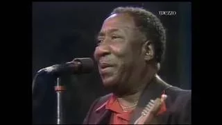 Muddy Waters • Live In Montreal 1980