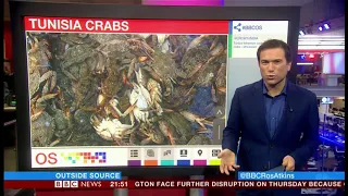 Invasive crabs now a multi million dollar industry (Tunisia) - BBC News - 17th October 2018