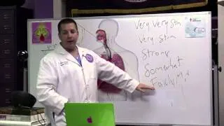 Webinar 3: Dr. Noah Greenspan: Breathe Deep!  Your Absolute Best Breathing Techniques EVER!