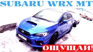 Взял Subaru WRX 2018 на механике - настоящий WRX?