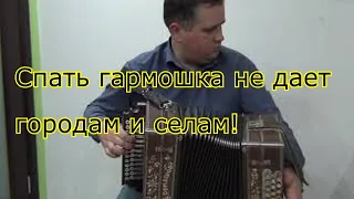 Спать гармошка не дает городам и селам! на гармони