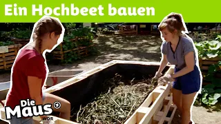 Urban Gardening | DieMaus | WDR