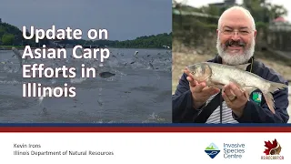 Update on Asian Carps Efforts in Illinois