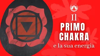 Il Primo Chakra e le sue Energie ❤ Muladhara Chakra | Kira Vanini