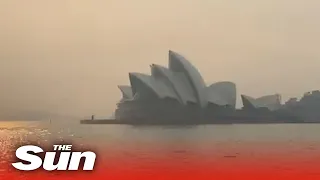 Sydney skies are blanketed by red bushfire smoke creating a hazardous haze of polluted air