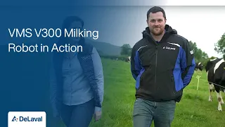 DeLaval VMS V300 Milking Robot in Action on Simon Butler's Farm in Adare