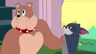 Tom and Jerry show season:1 Episode:01 | Spike gets schooled 2