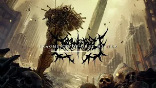 Organectomy - Fragments of Grey Matter