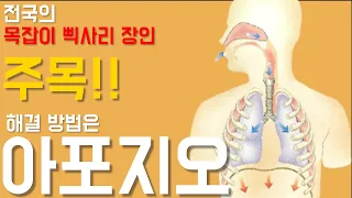 목잡이와 삑사리 장인들 집중! - 소리의 단단함은 아포지오 로 잡아보세요