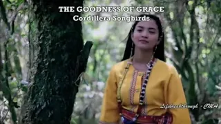 Amazing Grace - Cordillera Songbirds