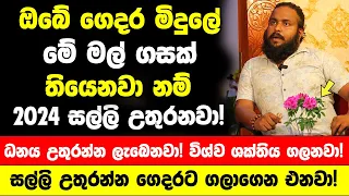 මේ මල් ගසක් ගෙදර තියෙනවා නම් 2024 අවුරුද්දම ඉතා සුභයි! සල්ලි උතුරන්න ගෙදරට ගලාගෙන එනවා! අදම හිටවන්න!