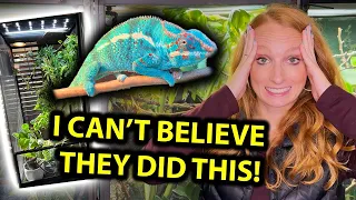 Reviewing my follower's chameleon enclosures!!