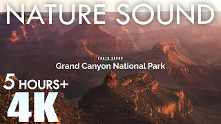 EARTH SOUND Grand Canyon Nature Sounds Shiva Temple Sunrise - Canyon Winds 5 Hours Relaxation