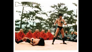 Bruce Lee  -  Lost in Pictures