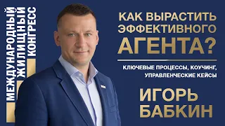 Игорь Бабкин «Как вырастить эффективного агента? Ключевые процессы, коучинг, управленческие кейсы»