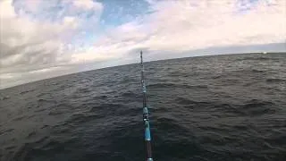 Giant Tuna Fishing - Gloucester, Ma - 250lb