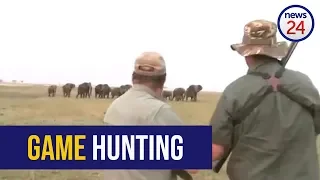 GRAPHIC WARNING - WATCH: 'Hit it between the eyes'- elephants charge at hunters after one shot down