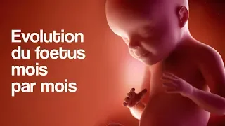 GROSSESSE - L’évolution du foetus mois par mois