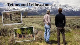 Traveling through GRAND TETON and YELLOWSTONE, photographing GRIZZLY BEARS, a WOLF and more!