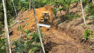 It turns out that it was very fast to penetrate the plantation road using a CAT D6R XL bulldozer