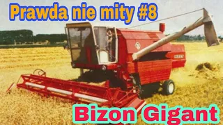 Prawda nie mity #8 - Bizon Gigant