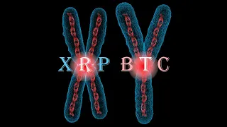 Ripple XRP в Фильме  💥 Y Последний Мужчина 💥