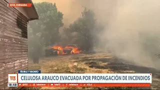 Alerta Roja por incendios: más de 500 hectáreas consumidas por el fuego