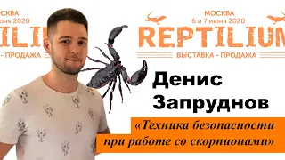 REPTILIUM 2020. Денис Запруднов «Техника безопасности при работе со скорпионами»