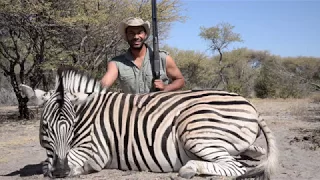 Cameron Mitchell takes a zebra with a .470 Nitro Express double rifle