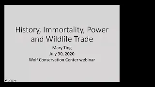 History, Power, Immortality, and Wildlife Demand with Professor Mary Ting