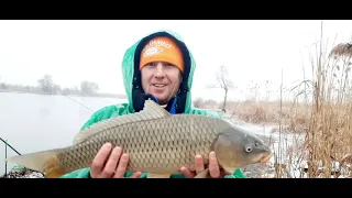 Рыбалка на Глубоком Турунчуке,неожиданный клев САЗАНА.Закрытие карпового сезона.04.12.2021