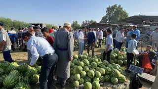 НАРХИ ГУСФАНД КУЧКАР БАРАНЧИКИ СОВЛУК КАРТОШКА САБЗА ПИЕЗ ЧАВ ГАНДУМ ЖУГОРИ РЕГАР 23 июля 2022 г.