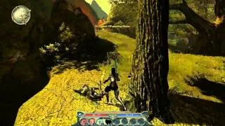 Divinity 2 - Dragon Knight Saga HD Gameplay 1