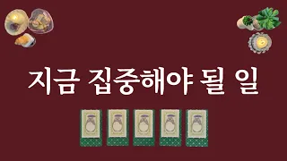 지금 집중해야 될 일. 기회를 놓치지 마세요⭐️1장의 카드를 선택 후 확인해 보세요.