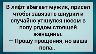 Мужик в Лифте Уткнулся Носом в Ягодицы Женщины! Сборник Свежих Анекдотов! Юмор!