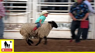 Mutton Bustin' 🦙 2021 Saint's Roost Ranch Rodeo | Saturday