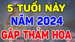 Năm 2024- 5 Tuổi Này TUYỆT ĐỐI Không Làm Điều Này Kẻo RƯỚC ĐẠI HOẠ, Xui Xẻo Triền Miên| LĐTH