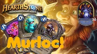 Hearthstone – Murloc Warlock deck!