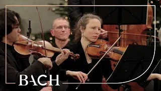 Bach - Agnus Dei from Mass in B minor BWV 232 | Netherlands Bach Society