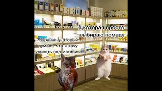 пов: пошла в магазин  косметики #cats #коты #мемныекоты #мемы #реки #рекомендации #врек