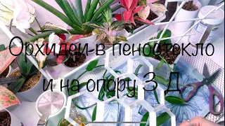 Орхидеи в пеностекло и на опору 3 Д