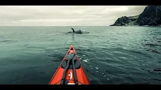 Встреча с косатками в холодном Охотском море. Косатки встретили каякеров | ЗАПИСКИ КАЯКЕРА