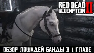 Обзор лошадей банды Ван дер Линде в Red Dead Redemption 2