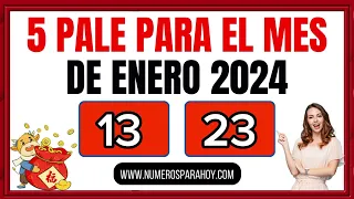 LOS 5 PALÉS QUE MÁS SALEN Y REPITEN EN EL MES DE ENERO DE 2024